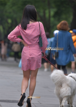 路边遛狗的长腿美女逛街图片