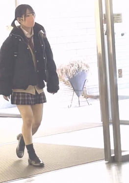 68294下课回家的jk短裙双马尾女孩视频